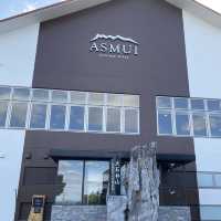 🌿ASMUI Spiritual Hikesで神秘の森を散策🌿