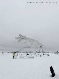 待望のリニューアル！世界的にも有名な恐竜博物館
