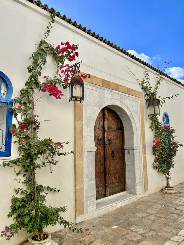Spring Blossoms in Sidi Bou Said💐