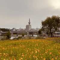 Spring's Active Path: Expo Bridge Cycling Adventure