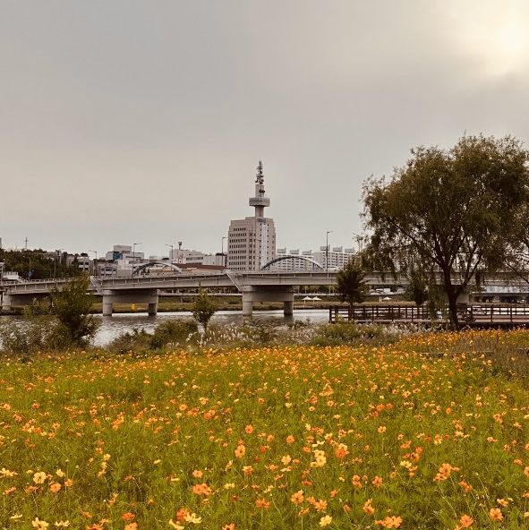 Spring's Active Path: Expo Bridge Cycling Adventure
