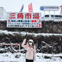 📍北海道小樽｜感受冬雪浪漫❄️｜吃喝玩樂打卡行程攻略📸