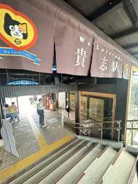 เที่ยว 1 Day ไปนั่งรถไฟหานายสถานีแมวที่วาคายะมะ