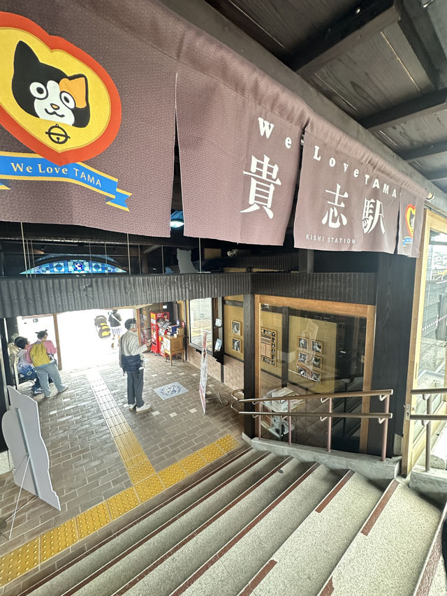 เที่ยว 1 Day ไปนั่งรถไฟหานายสถานีแมวที่วาคายะมะ
