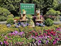 賞花及花伴野餐初體驗在大安森林公園
