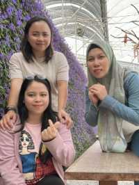 Good and nice experienced in cameron highland