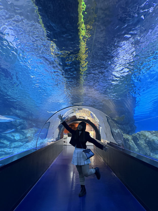 首爾之旅-Coex水族館（聽見你的聲音拍攝地）