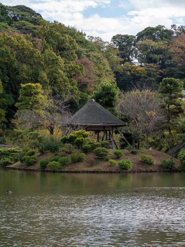 三溪園の朝イチで観光 🌿☀️ 静寂の中で歴史と自然を楽しむ