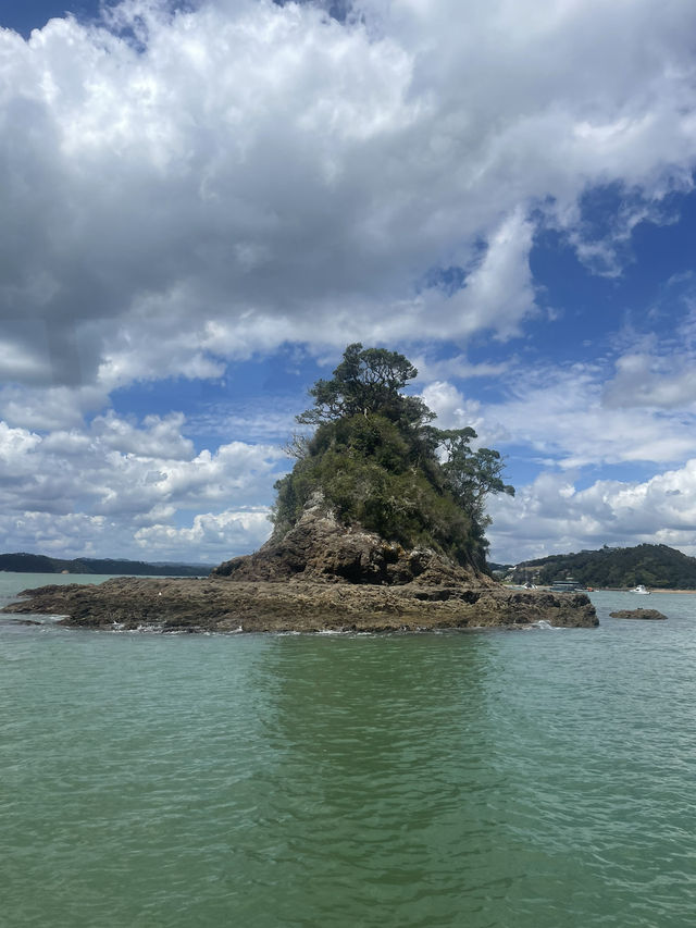 Bay of Island, New Zealand 🇳🇿 