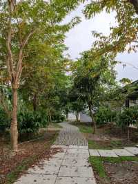 濃、純、 香的75°可可飲#CACAO FARM FORMOSA 福爾摩沙可可農場
