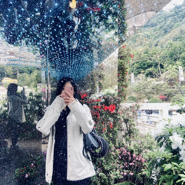 萬里杜鵑花季｜免費賞花好去處，春日漫遊半日遊推薦！