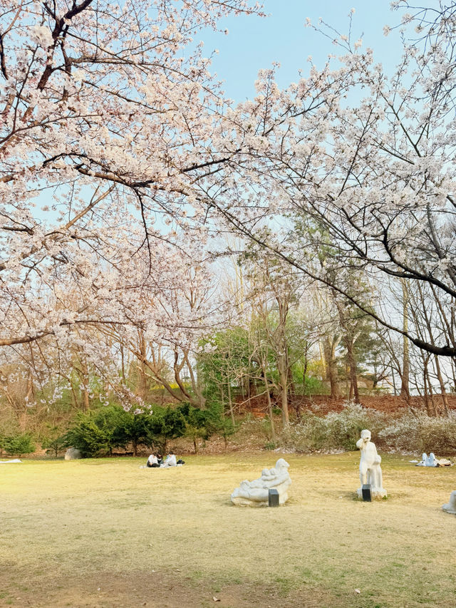 봄벚꽃 여행을 떠나요😆