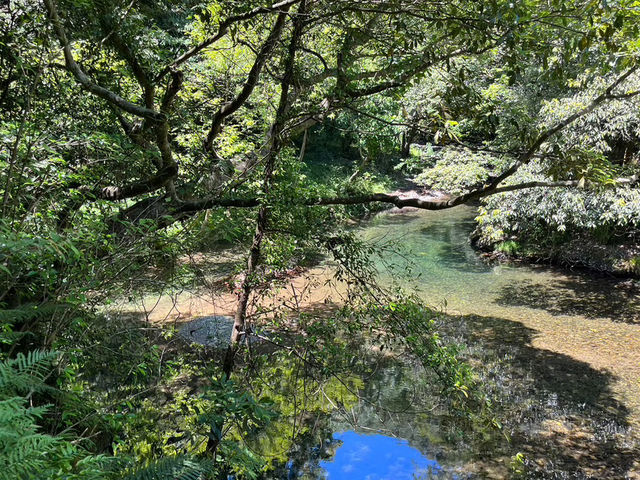 【三重の多度山ハイキング】