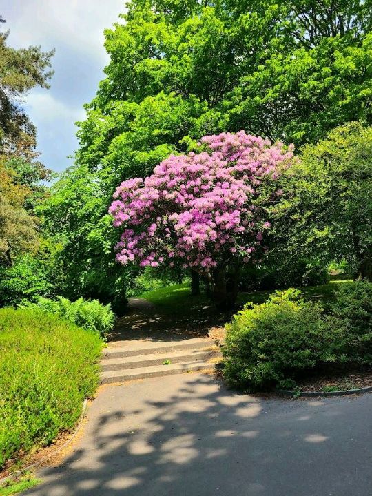 Alexandra Park - Oldham
