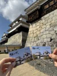 🏯 마쓰야마성, 일본의 숨은 고성 명소!