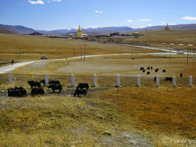 【中国】衝撃的な異文化体験！東チベットの鳥葬が行われる天葬台
