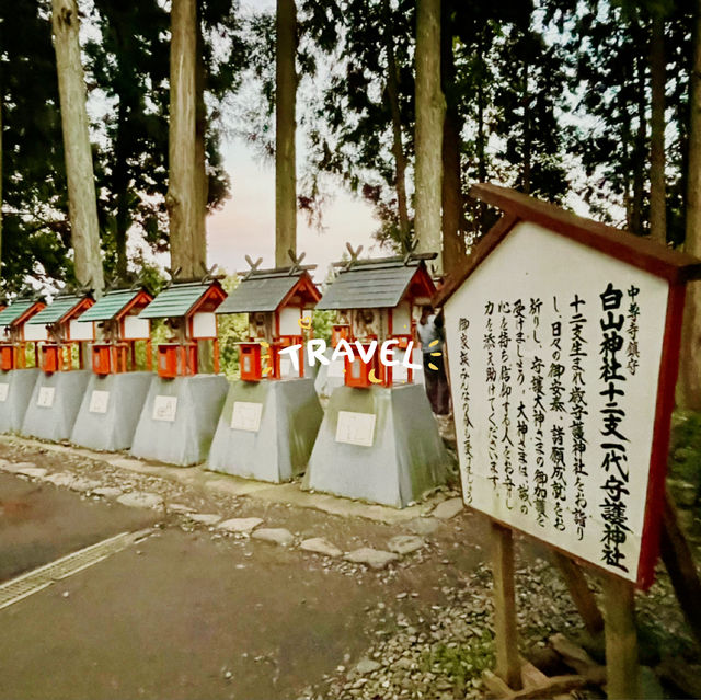 這裡的楓葉也很美，平泉世界文化遺產