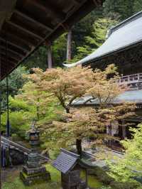 【福井×永平寺】説法が行われる法堂 国の重要文化財