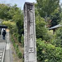 金閣寺的金色夢幻：探索京都的歷史瑰寶