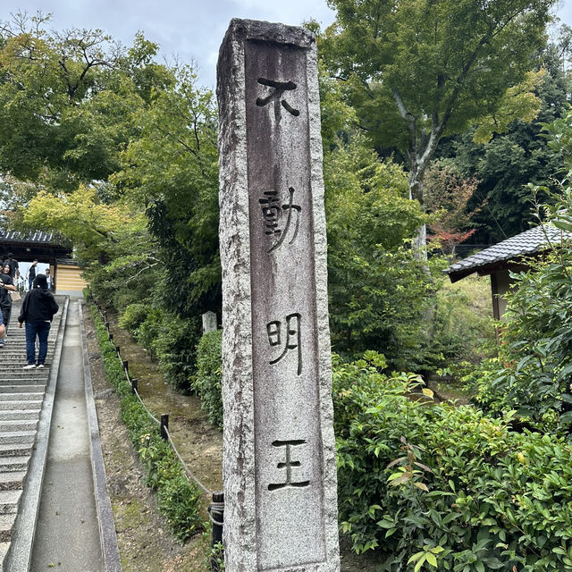 金閣寺的金色夢幻：探索京都的歷史瑰寶