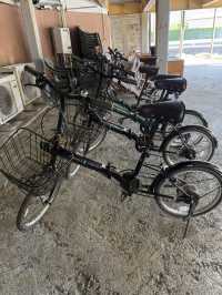 自転車で春を探しに