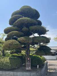 日本四國