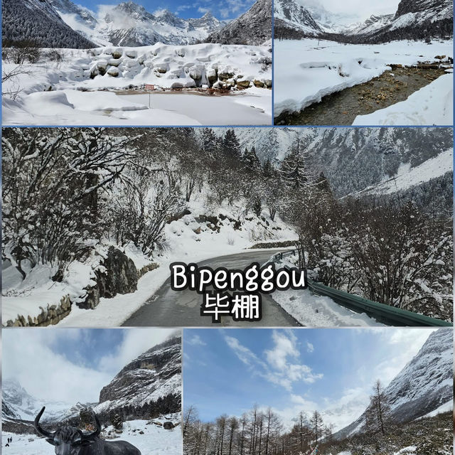 แพลนเที่ยวเฉิงตู 4คืน 5 วัน ⛰️⛄️🇨🇳