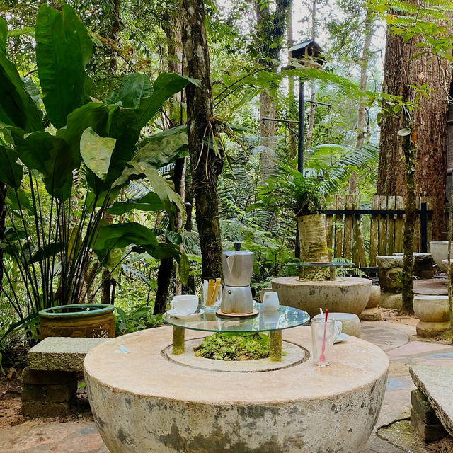 Forest Brews at Kopi Hutan