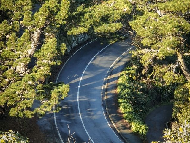 Wellington from the Top: A Mount Victoria Must-See