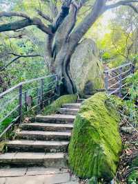 Xiangshan Six Rocks 