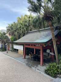 【宮崎】青島神社⛩️