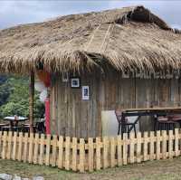 🐑🌿 บ้านแกะแม่ขิ (Maekee Sheep House)