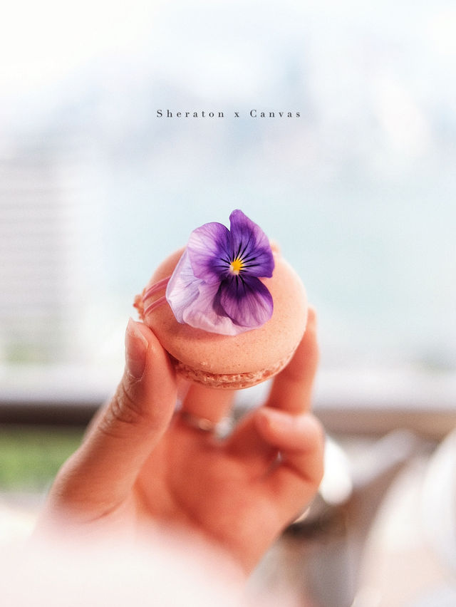 Sheraton x CANVS 聯乘推出「香蘊玫瑰下午茶」🌹