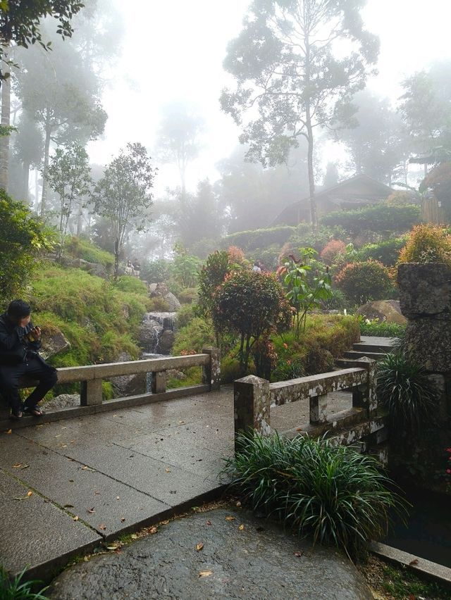 A Peaceful Walk in the Clouds: Japanese Village at Colmar
