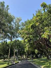 台北｜228和平公園一日遊指南