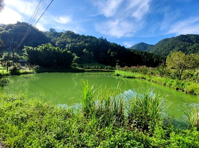 #雙連埤-宜蘭縣員山鄉