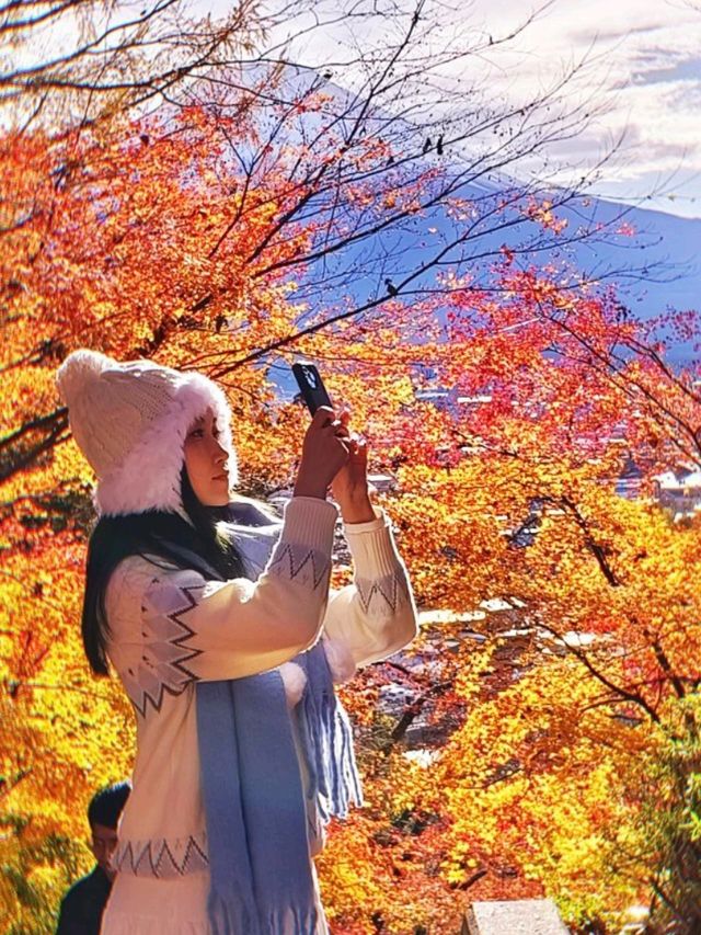 抵達成田機場立馬自駕到🗻富士吉田自由行
