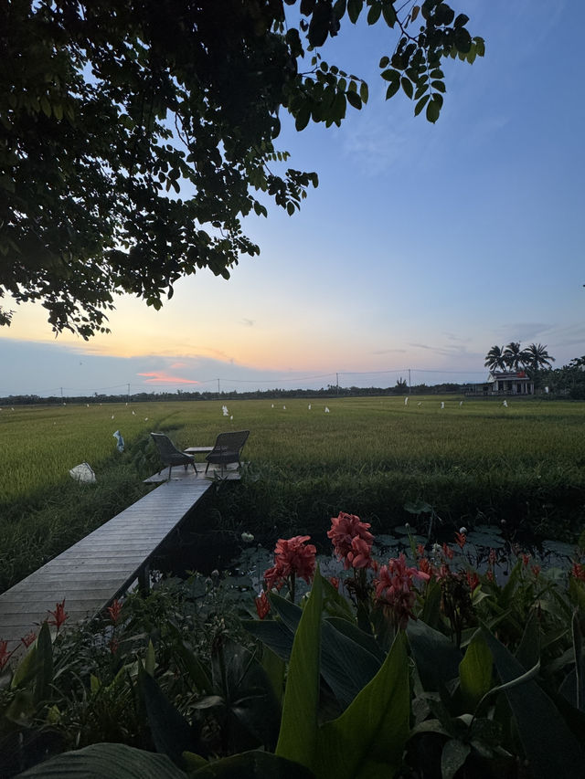 ベトナム🇻🇳ホイアン🧖‍♀️ 自然に包まれてととのう、極上のスパ体験