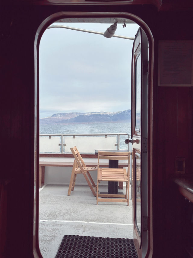 Day 6: City Strolls & Whale Tales in Reykjavík