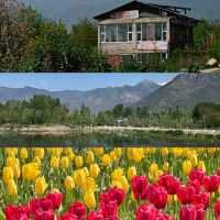 Kashmir - India 🇮🇳 ทริปแคชเมียร์แบบ 6 วัน 5 คืน