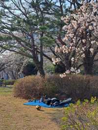 도심 속 여유, 성남 희망대공원에서