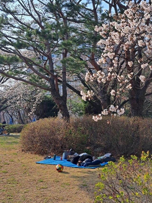 도심 속 여유, 성남 희망대공원에서