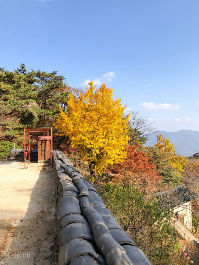 날씨가 좋을땐 뭐다~? 등산이다! 산의 매력을 느끼고 싶다면 이곳으로!