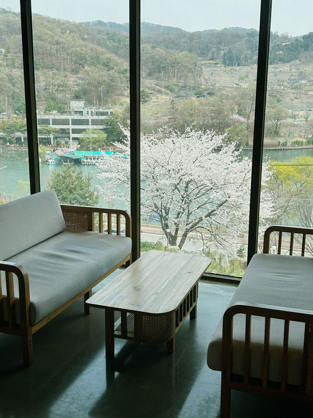 베이커리, 캠핑 감성까지 느낄 수 있는 카페, 카페5에서의 여유로운 한 잔 🍰☕️
