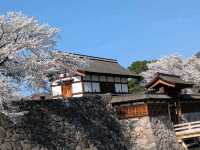 Matsushiro Castle Park, Nagano