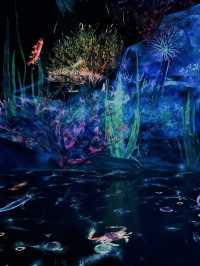 Team Lab Forest Fukuoka
