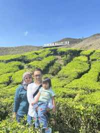 memory at cameron highland