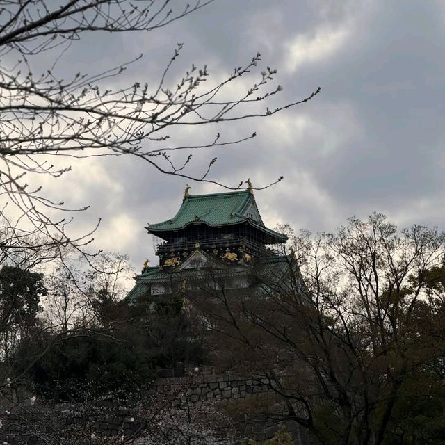 大阪城（おおさかじょう）