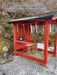 世界遺産「日光の社寺」の入り口にある神橋⛩️