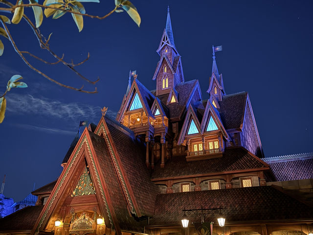 【🇯🇵】東京ディズニーシー🚢🌋